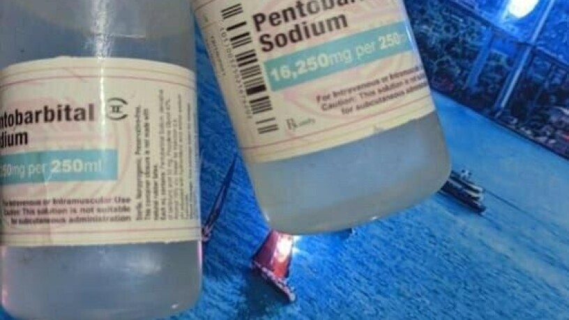 buy-nembutal-online-buy-pentobarbital-sodium-big-0