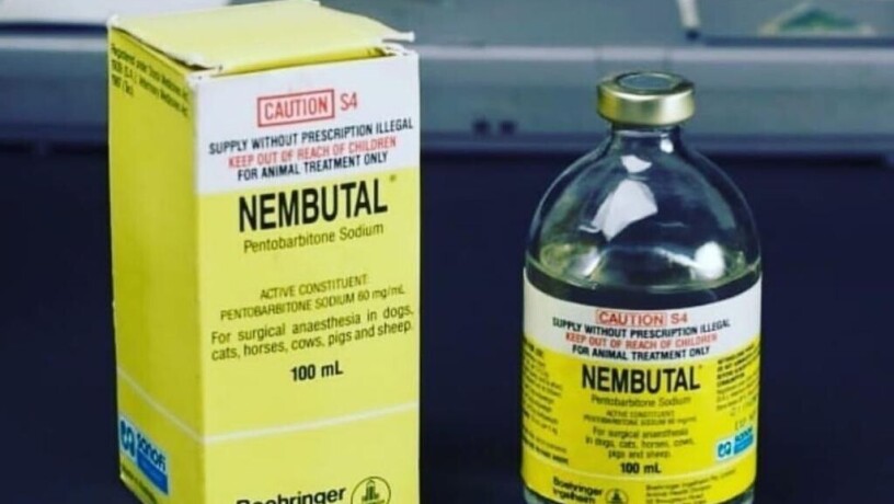 buy-nembutal-online-buy-pentobarbital-sodium-big-3