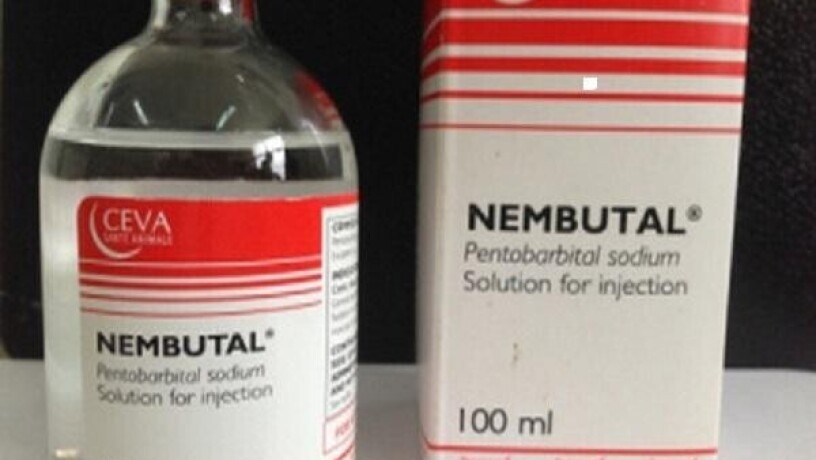 buy-nembutal-online-buy-pentobarbital-sodium-big-0