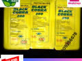 black-cobra-tablets-200mg-in-khushab-03005356678-fast-delivery-small-0