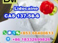 manufacturer-supply-raw-material-cas-137-58-6-lidocaine-small-8