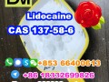 manufacturer-supply-raw-material-cas-137-58-6-lidocaine-small-7