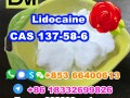 manufacturer-supply-raw-material-cas-137-58-6-lidocaine-small-6