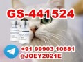 gs-441524-fip-feline-infectious-peritonitis-small-0