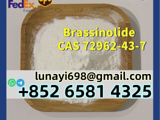 Manufacturer Supply Plant Powder Brassinolide Br CAS 72962-43-7