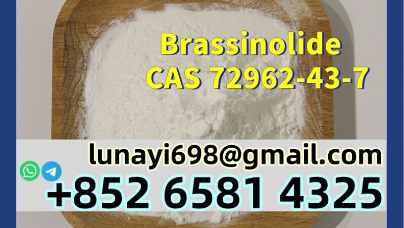 manufacturer-supply-plant-powder-brassinolide-br-cas-72962-43-7-big-0