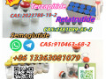 cas910463-68-2-semaglutide-quality-small-1