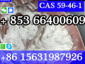 cas-59-46-1-procaine-china-factory-supply-lower-price-high-purity-high-quality-small-0