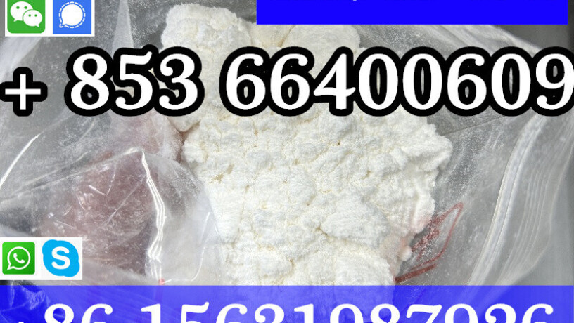 cas-59-46-1-procaine-china-factory-supply-lower-price-high-purity-high-quality-big-3