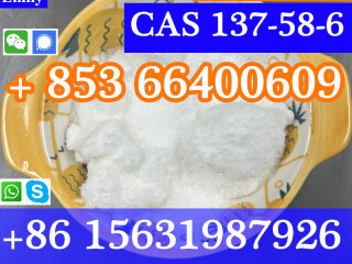 CAS 137-58-6 Lidocaine China factory sales low price high purity good quality hot selling safe delivery fast delivery