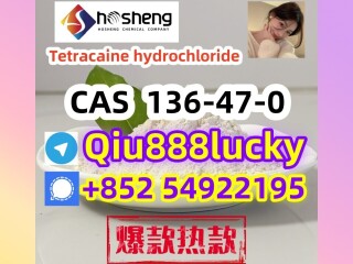 136-47-0  Tetracaine hydrochloride