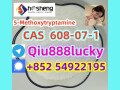 608-07-1-5-methoxytryptamine-small-0