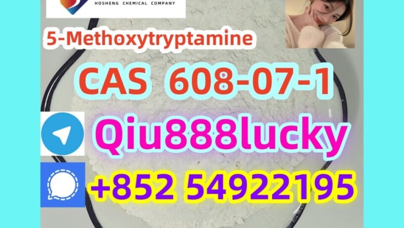 608-07-1-5-methoxytryptamine-big-0