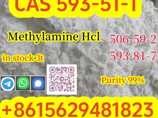 Purity 99% Methylamine hydrochloride CAS 593511 Large quantity available from stock