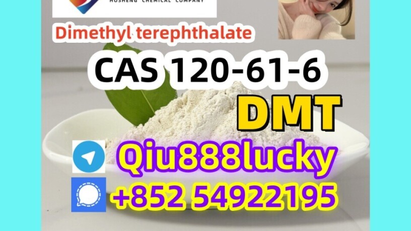 120-61-6-dimethyl-terephthalate-dmt-big-0