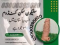 pure-silicone-skin-condom-in-pakistan-03000395620-small-0