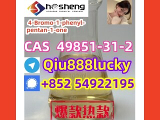 49851-31-2  4-Bromo-1-phenyl-pentan-1-one