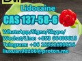 manufacturer-supply-raw-material-cas-137-58-6-lidocaine-small-5