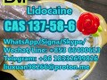 manufacturer-supply-raw-material-cas-137-58-6-lidocaine-small-9