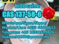 manufacturer-supply-raw-material-cas-137-58-6-lidocaine-small-2