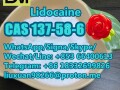 manufacturer-supply-raw-material-cas-137-58-6-lidocaine-small-4