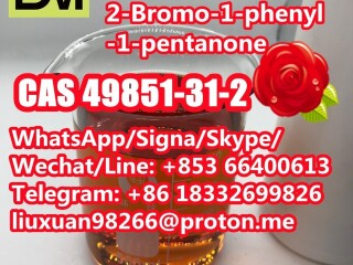 Manufacturer Supply Raw Material CAS 49851-31-2 2-Bromo-1-phenyl-1-pentanone