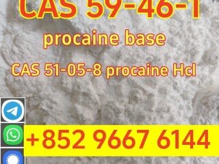 Procaine Powder CAS 59461 Local Anesthesia with Stock APIs