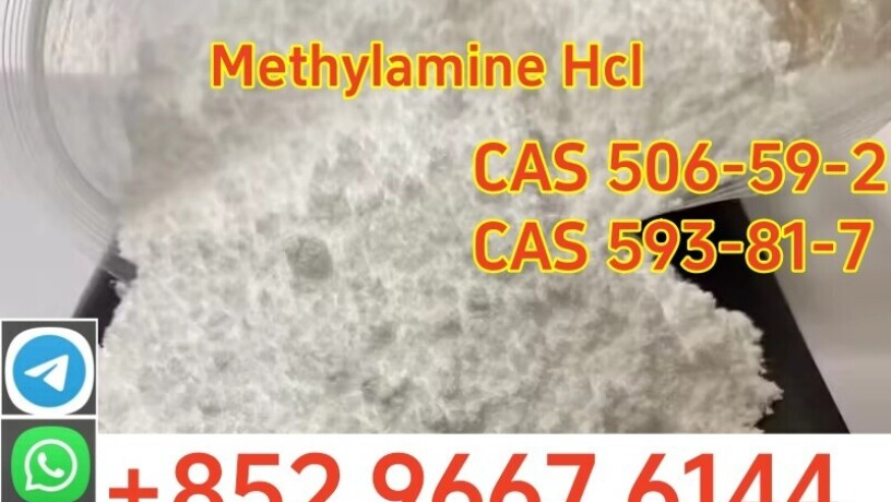 buy-high-quality-cas-593-51-1-methylamine-hydrochloride-at-best-price-big-0