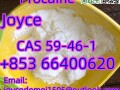 worldwide-hot-sell-cas-59-46-1-procaine-white-powder-with-high-purity-and-best-price-small-6