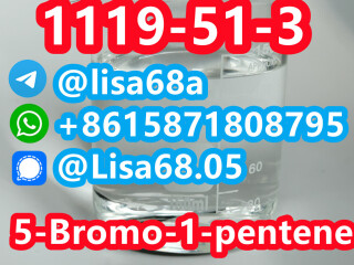 CAS 1119-51-3 5-Bromo-1-pentene C5H9Br