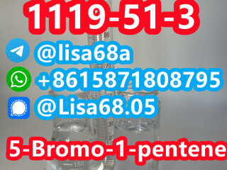 CAS 1119-51-3 5-Bromo-1-pentene C5H9Br