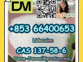 lidocainecas-137-58-6-small-5