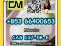 lidocainecas-137-58-6-small-6