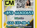 lidocainecas-137-58-6-small-7