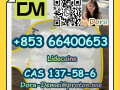 lidocainecas-137-58-6-small-1