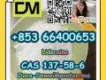 lidocainecas-137-58-6-small-8