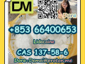 lidocainecas-137-58-6-small-9