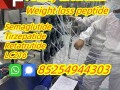 910463-68-2semaglutide-small-0