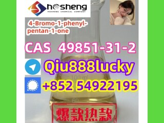 49851-31-2  4-Bromo-1-phenyl-pentan-1-one