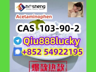 103-90-2  Acetaminophen