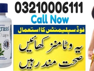 Demograss Plus 90 days in Sukkur \ 03210006111 New shope