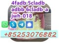 5cladba-precursor-5cladba-adbb-raw-material-noids-precursor-powder-and-liquid-small-2