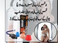 handsome-up-pump-price-in-pakistan-03000395620-small-0