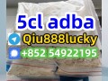 5cladba-small-2