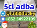 5cladba-small-1