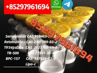 GLP-1 Semag Tirze Retatrutide Cagrilintide for Weight Loss Mt2 Mots-C Ghk Cu Epithalon Kpv Nad+ 99% Purity Peptides Lyophilized