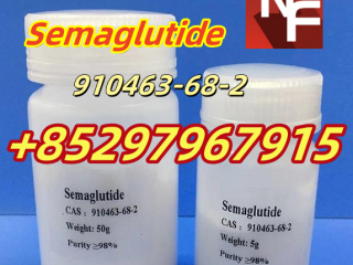 Semaglutide	910463-68-2