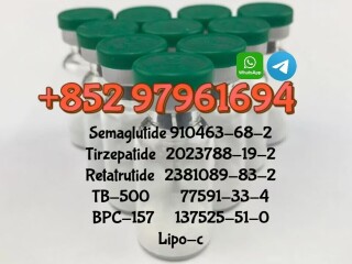 Semaglutide 910463=68-2 Retatrutide 2381089-83-2 Lipo-c TB-500  BPC-157