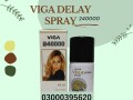 viga-24000-45ml-long-timing-delay-spray-in-pakistan-small-1