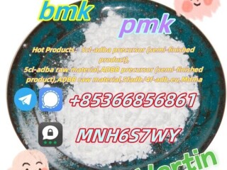 Direct sale of bmk raw materials pmk raw materials